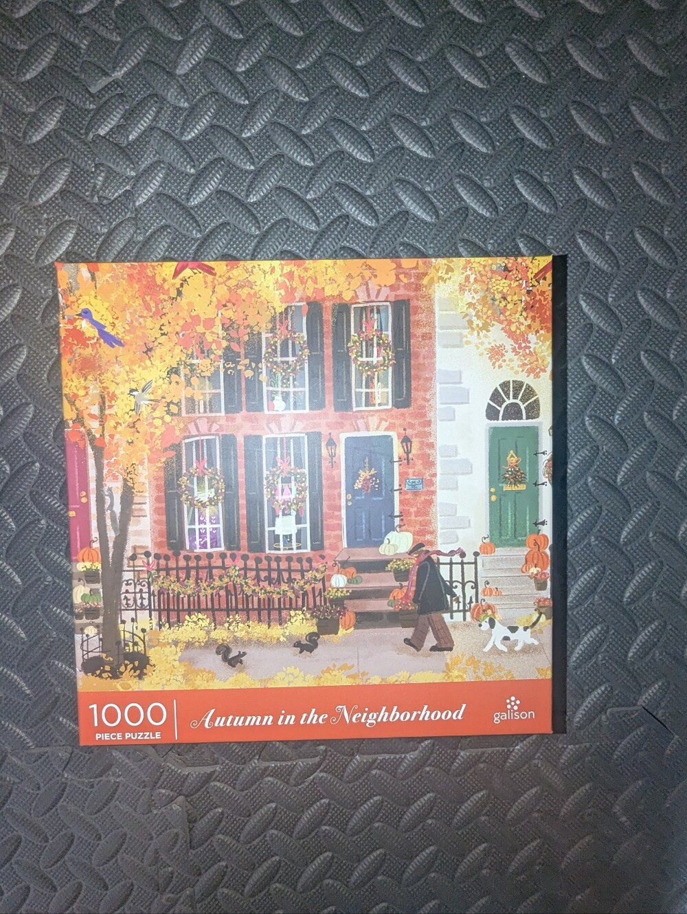 NWT - 1000 Piece Puzzle - Galison - Autumn in the Neighborhood